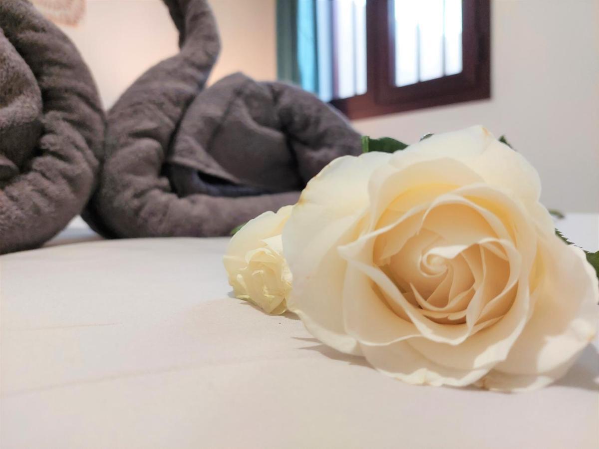 Ivory Ocean Corralejo Apartman Kültér fotó